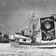Image for article titled 30 years later, photos from the Exxon Valdez spill remain haunting